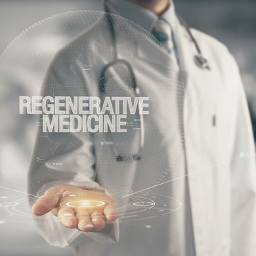 How Does Regenerative Medicine Work?