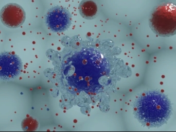 We still cannot use exosomes legally in the USA....FDA hasn